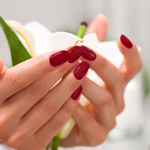 gel shellac